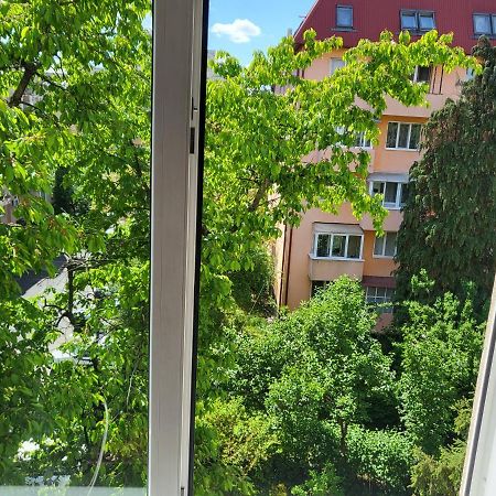 Apartament Florilor Nagybánya Kültér fotó