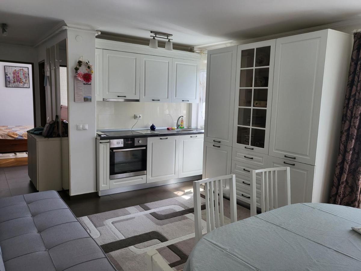Apartament Florilor Nagybánya Kültér fotó