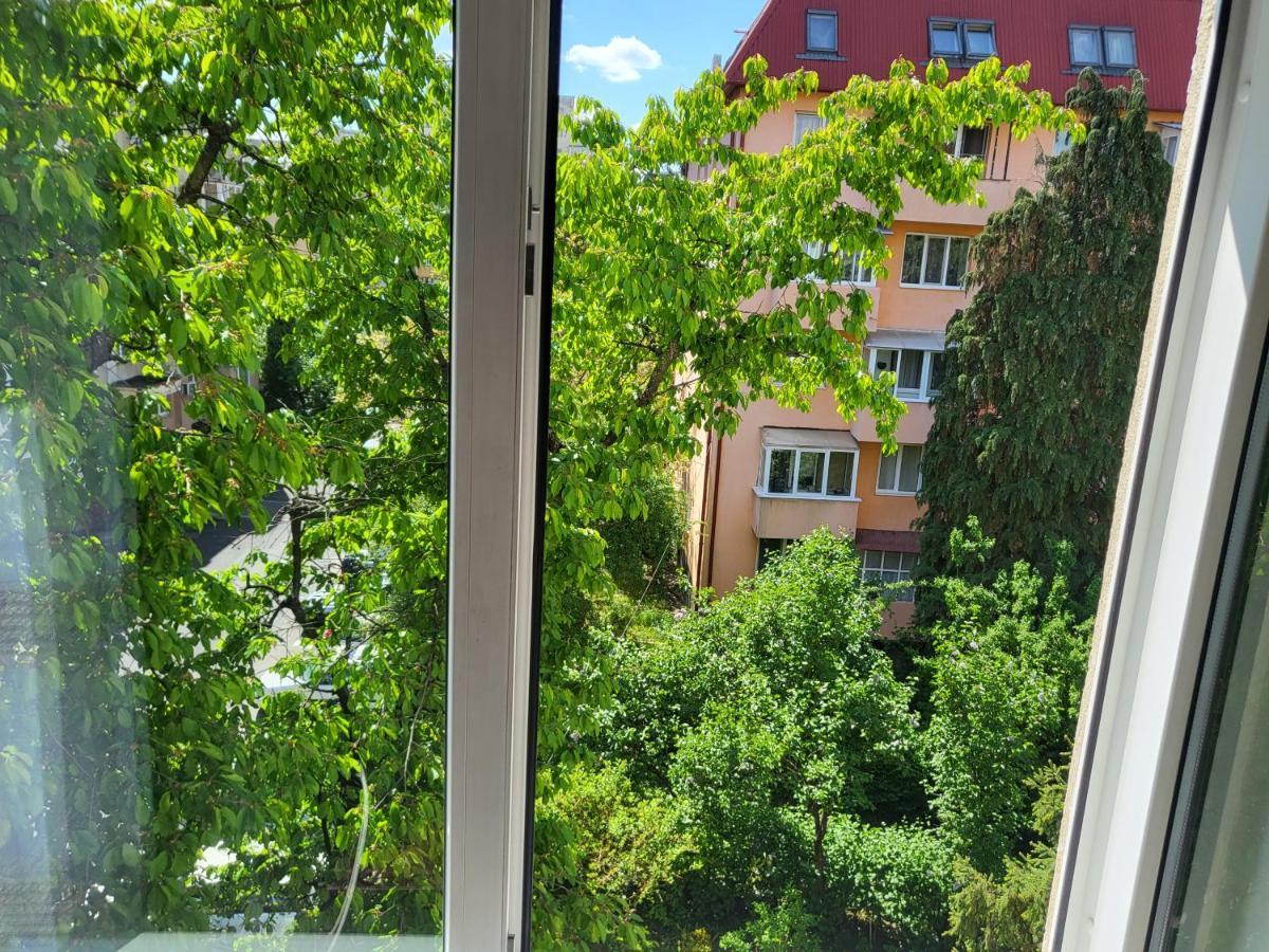 Apartament Florilor Nagybánya Kültér fotó
