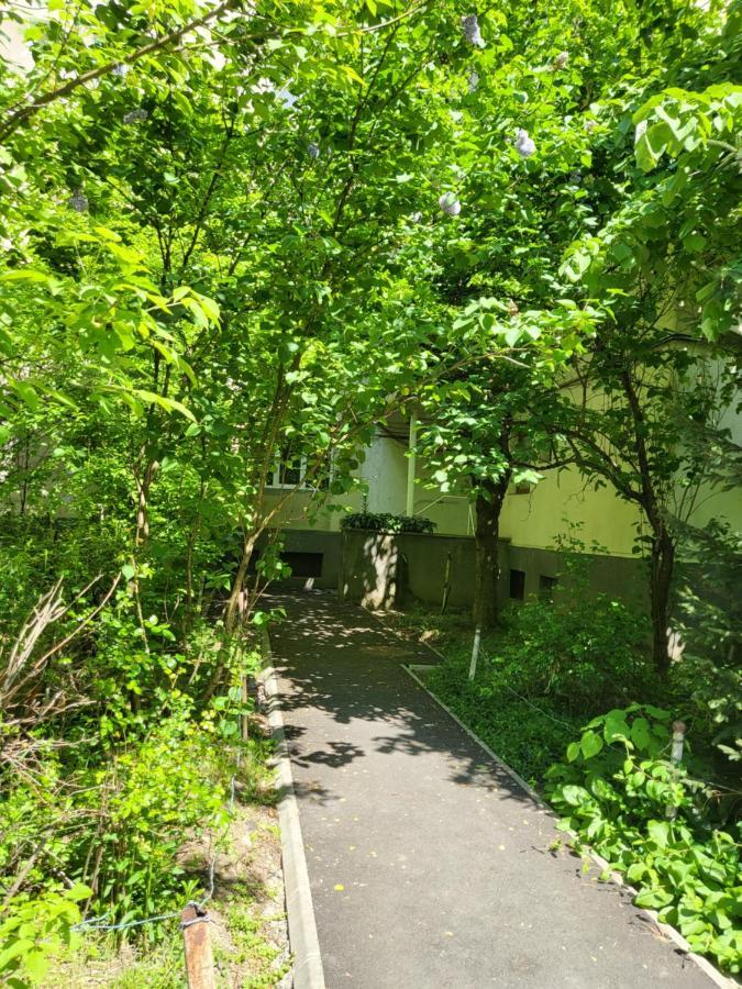 Apartament Florilor Nagybánya Kültér fotó
